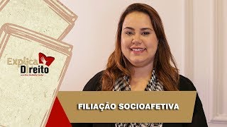 Explica Direito Filiação Socioafetiva  2019 [upl. by Attiuqihc]